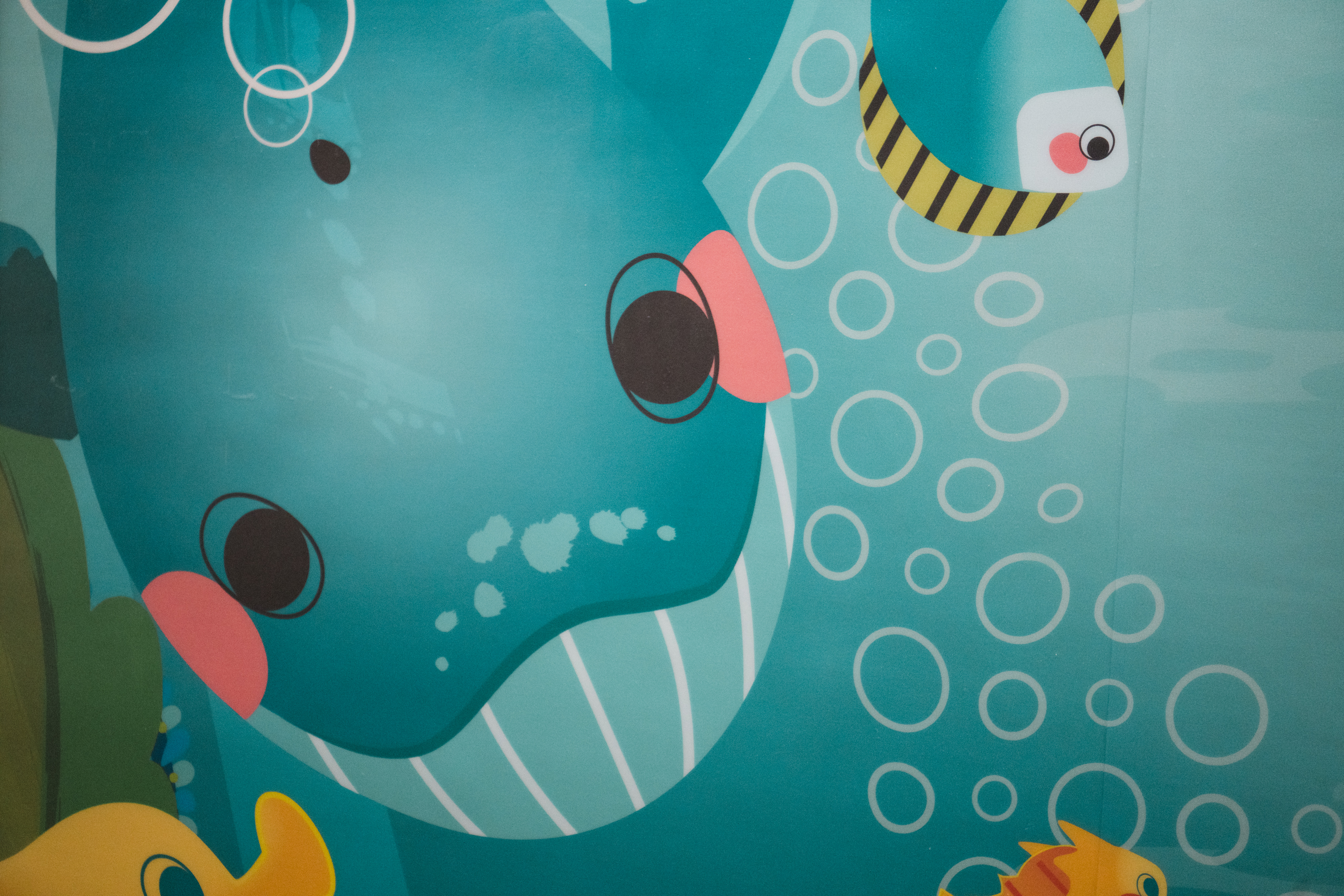 Whale wayfinding friend