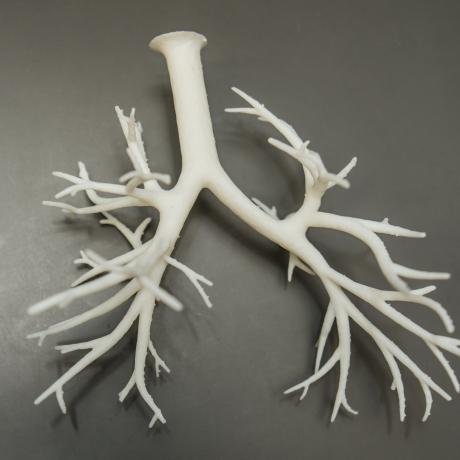 Bioprinted airways