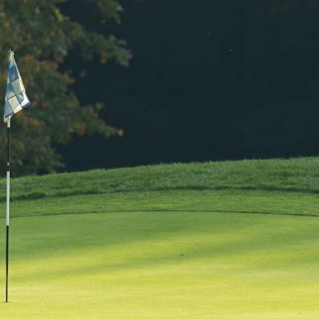 Golf course with hole flag